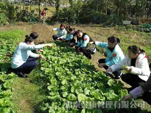 員工團建活動，自己摘菜做飯